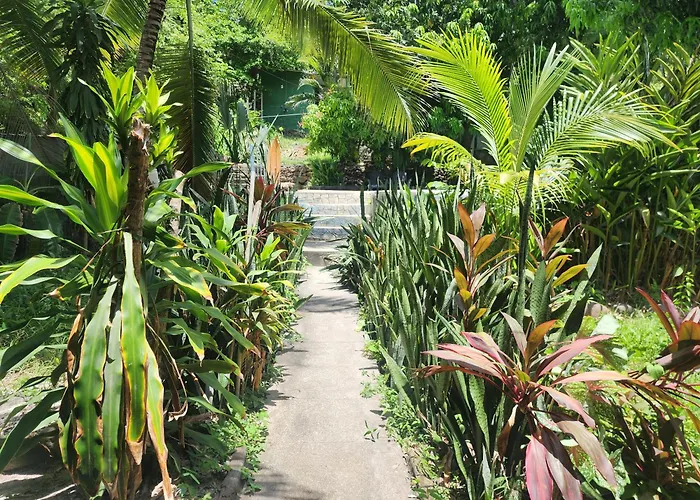 Hammock Plantation